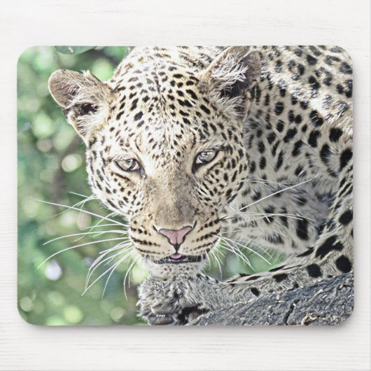 smartmix animal-leopard 2 マウスパッド (正面)