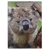 SmartMix Koala 1220 クリップボード (正面)