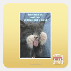 Smartmouth猫 スクエアシール