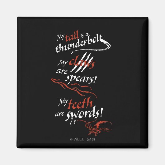 SMAUG™イントロ マグネット (正面)