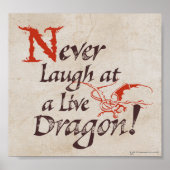 SMAUG™ - Never Laugh At A Live Dragon ポスター (正面)