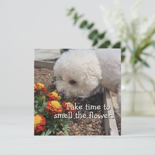 Smell the Flowers カード (スタンド正面)