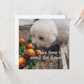 Smell the Flowers カード (正面/裏面インサイチュ)