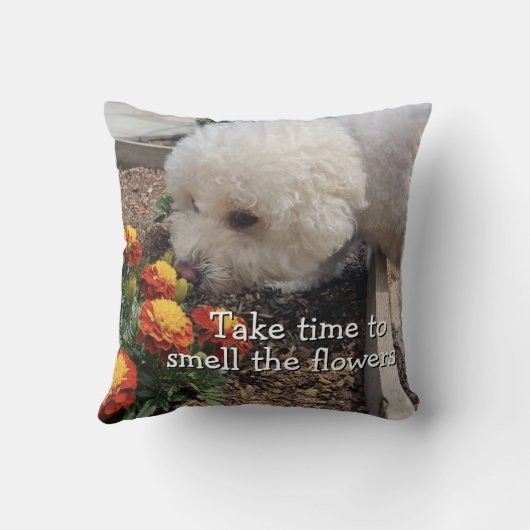 Smell the Flowers クッション (裏面)