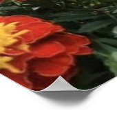 Smell the Flowers  ポスター (角)