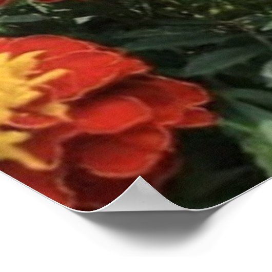 Smell the Flowers  ポスター (角)