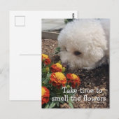 Smell the Flowers ポストカード (正面/裏面)