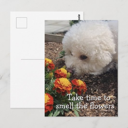 Smell the Flowers ポストカード (正面/裏面)