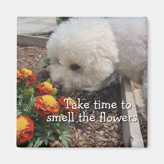 Smell the Flowers マグネット (正面)