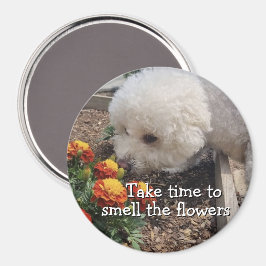 Smell the Flowers マグネット