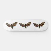 Smerinthus ocellata – アイドホーク – モスカラー画像 スケートボード (横)