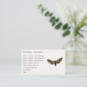 Smerinthus ocellata – アイドホーク – モスカラー画像B 名刺 (スタンド正面)