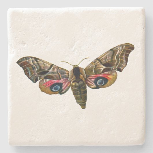 Smerinthus ocellata - Ead Hawk-Moth – カラーイメージ ストーンコースター (正面)