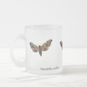 Smerinthus ocellata - Ead Hawk-Moth – カラーイメージ フロストグラスマグカップ
