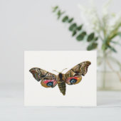 Smerinthus ocellata - Ead Hawk-Moth – カラーイメージ ポストカード (スタンド正面)