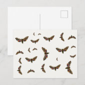 Smerinthus ocellata - Ead Hawk-Moth – カラーイメージ ポストカード (正面/裏面)