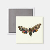 Smerinthus ocellata - Ead Hawk-Moth – カラーイメージ マグネット (正面/裏面)