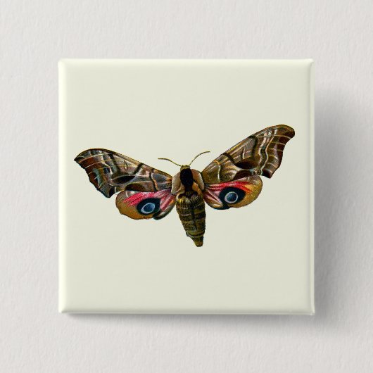 Smerinthus ocellata - Ead Hawk-Moth – カラーイメージ 缶バッジ (正面)