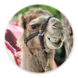 Smile セラミックノブ