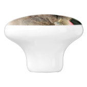 Smile セラミックノブ (側面)