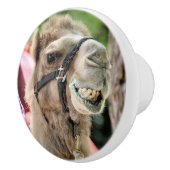 Smile セラミックノブ (右)