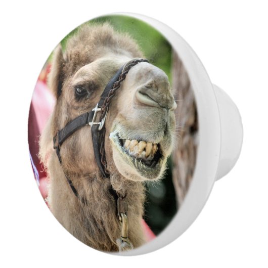 Smile セラミックノブ (右)