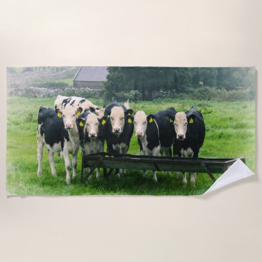 Smile please! Cute cows ビーチタオル (正面)