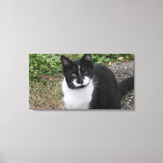 Smiler Charity キャンバスプリント (正面)