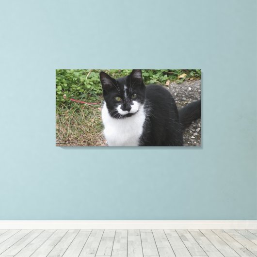 Smiler Charity キャンバスプリント (インサイチュ (ウッドフロア))