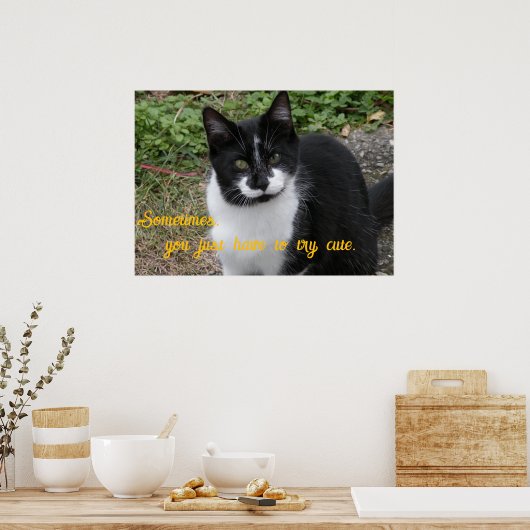 Smiler says- Sometimes, you just have to try cute. ポスター (キッチン)