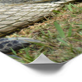 Smiling Aligator 考え's Of Youがスマイル ポスター (角)