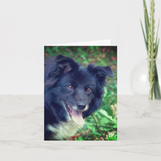 Smiling Border Collie Cute Dog Personalized Note カード (正面)