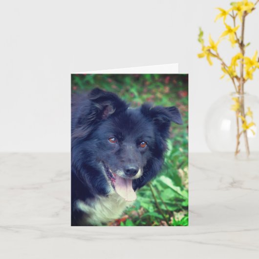 Smiling Border Collie Cute Dog Personalized Note カード (黄色い花)