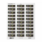 Smiling Bulfrog Animal Address ラベル (フルシート)