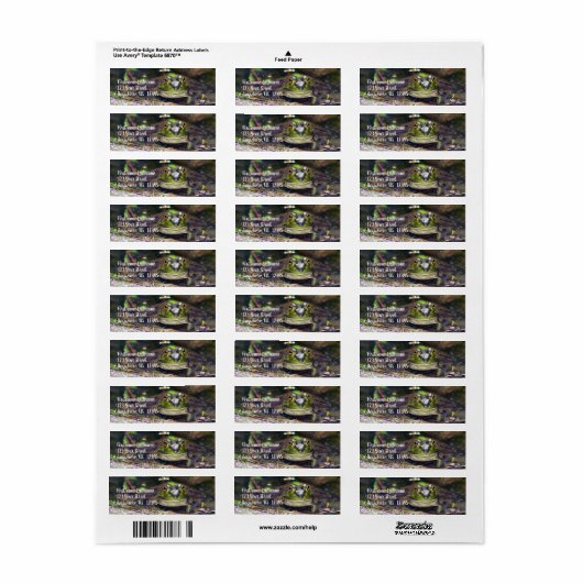 Smiling Bulfrog Animal Address ラベル (フルシート)