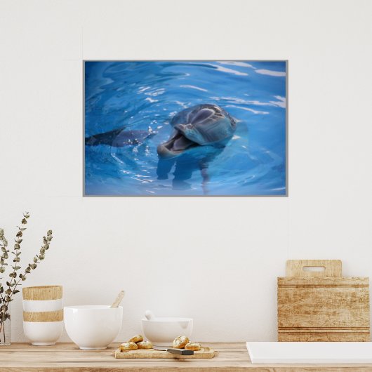 Smiling Dolphin ポスター (キッチン)