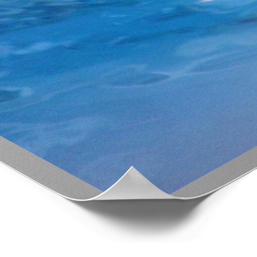 Smiling Dolphin ポスター (角)