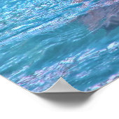 Smiling Dolphin - Smile! ポスター (角)