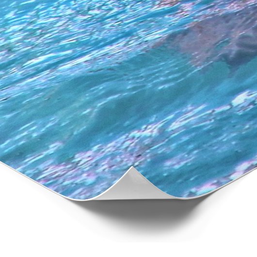 Smiling Dolphin - Smile! ポスター (角)