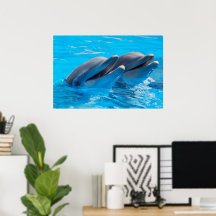 Smiling Dolphins