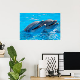 Smiling Dolphins ポスター