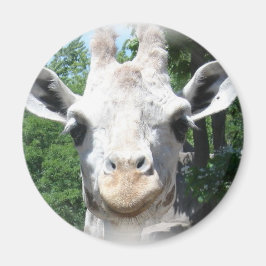 Smiling Giraffe マグネット