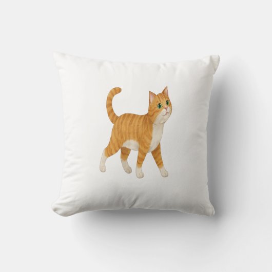 Smiling Orange Cat Decorative Pillow クッション (正面)