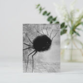 Smiling Spider by Odilon Redon,ヴィンテージハロウィン カード (スタンド正面)