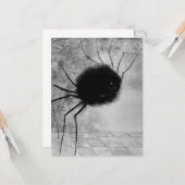 Smiling Spider by Odilon Redon,ヴィンテージハロウィン カード (正面/裏面インサイチュ)