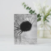 Smiling Spider by Odilon Redon,ヴィンテージハロウィン ポストカード (スタンド正面)