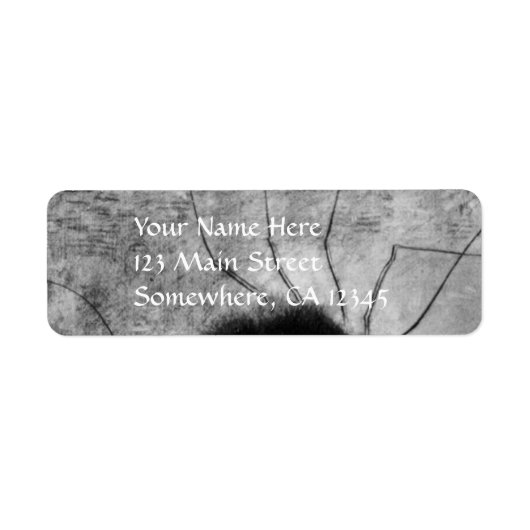 Smiling Spider by Odilon Redon,ヴィンテージハロウィン ラベル (正面)