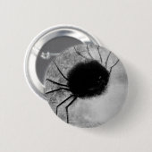 Smiling Spider by Odilon Redon,ヴィンテージハロウィン 缶バッジ (正面&裏面)