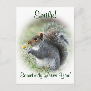 Smiling Squirrel Loves Youポストカード ポストカード