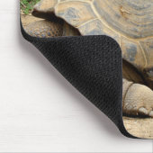 Smiling Tortoise マウスパッド (コーナー)